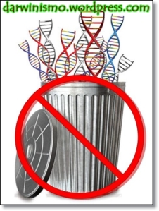 Não existe "ADN lixo"
