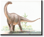 Dinossauro_Sauropode