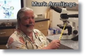 Mark_Armitage