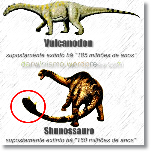 Dinossauro_Bispo_Bell_Vulcanodon
