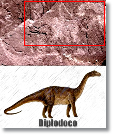 Dinossauro_Diplodocus